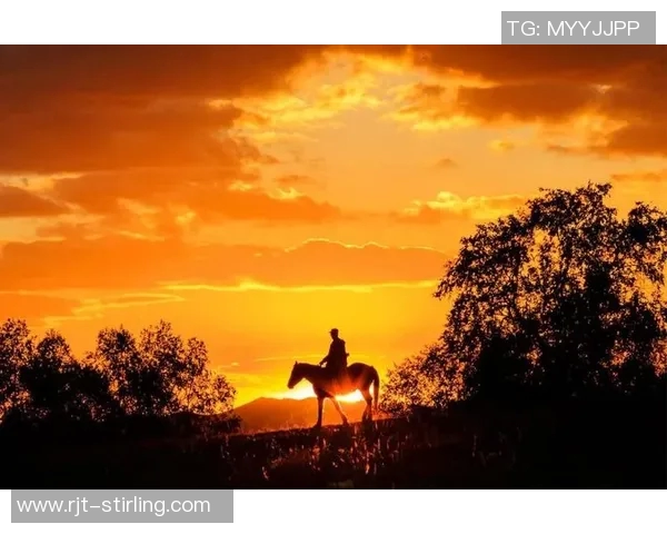 深度对话：赵伟在篮球场上的奋斗与梦想之旅